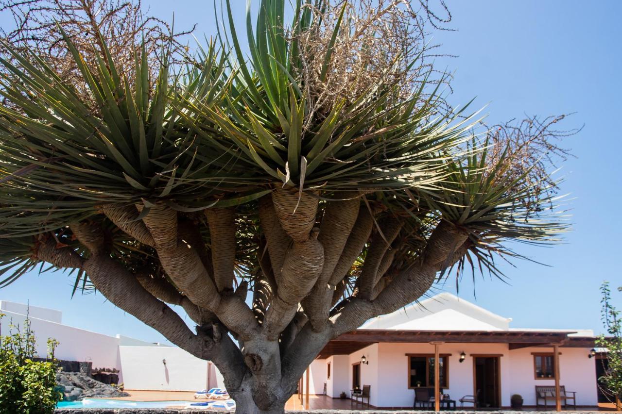 Casa Lola Lanzarote Piscina Climatizada Y Wifi Free Villa San Bartolomé Eksteriør billede